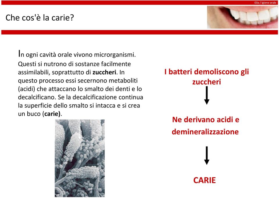 In questo processo essi secernono metaboliti (acidi) che attaccano lo smalto dei denti e lo decalcificano.