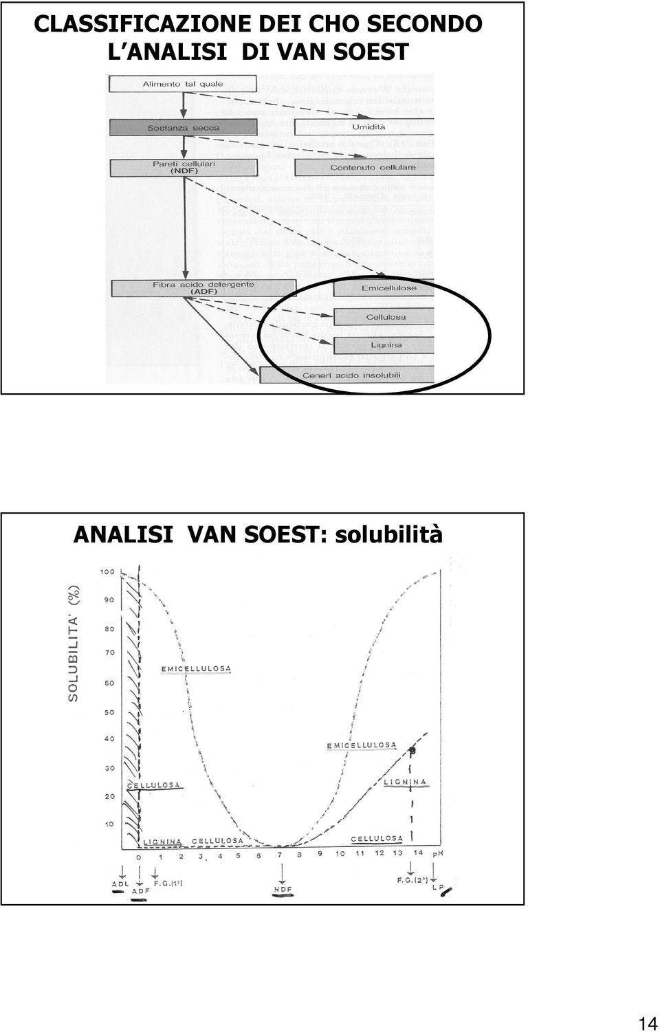 DI VAN SOEST ANALISI