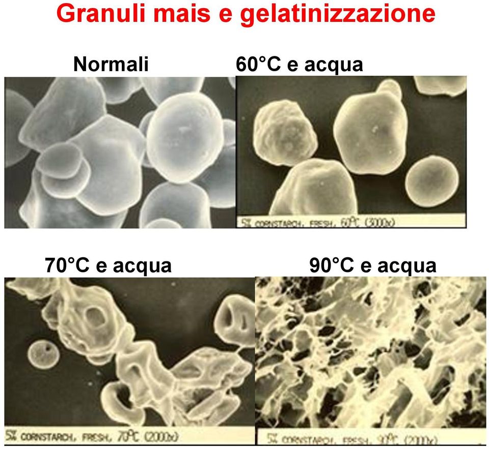 Normali 60 C e