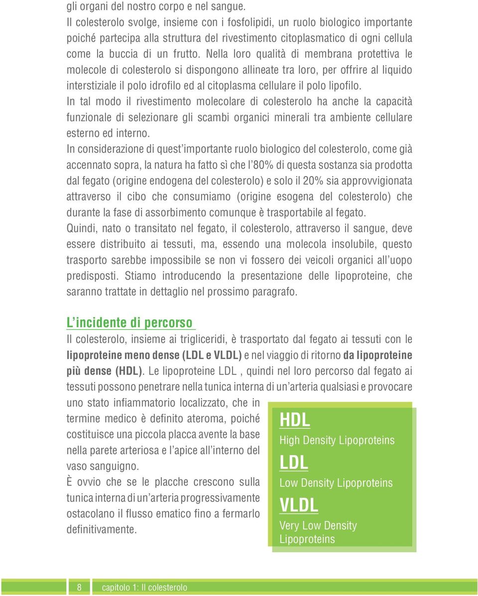 Nella loro qualità di membrana protettiva le molecole di colesterolo si dispongono allineate tra loro, per offrire al liquido interstiziale il polo idrofilo ed al citoplasma cellulare il polo