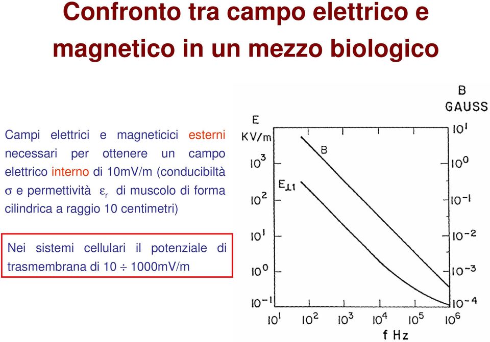 10mV/m (conducibiltà σ e permettività ε r di muscolo di forma cilindrica a