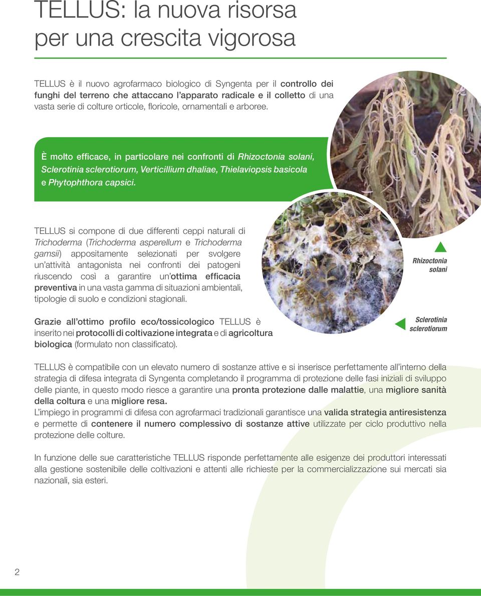 è molto efficace, in particolare nei confronti di Rhizoctonia solani, Sclerotinia sclerotiorum, Verticillium dhaliae, Thielaviopsis basicola e Phytophthora capsici.