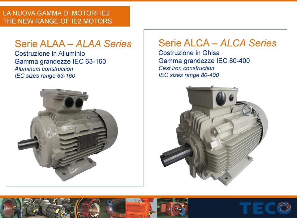 construction IEC sizes range 63-160 Serie ALCA ALCA Series Costruzione in