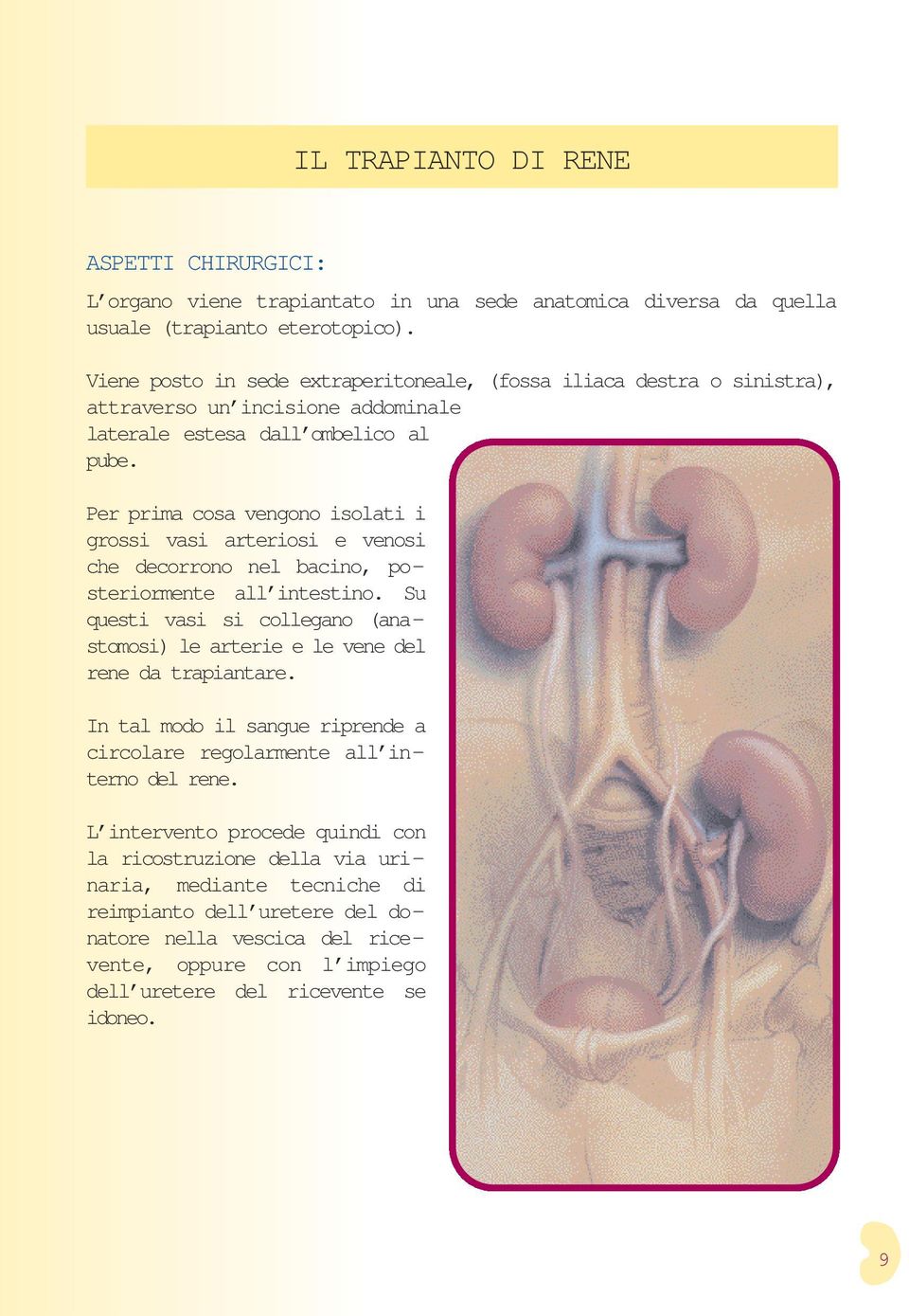 Per prima cosa vengono isolati i grossi vasi arteriosi e venosi che decorrono nel bacino, posteriormente all intestino.