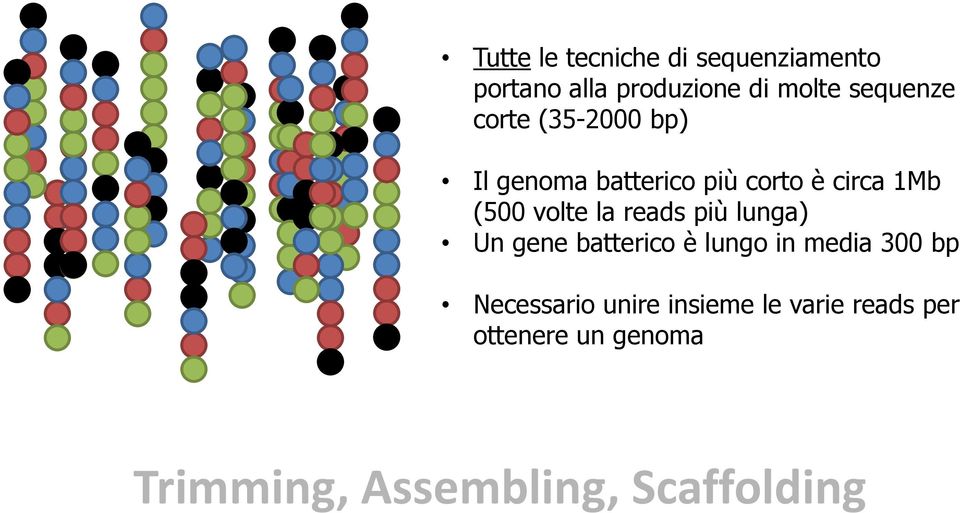 volte la reads più lunga) Un gene batterico è lungo in media 300 bp