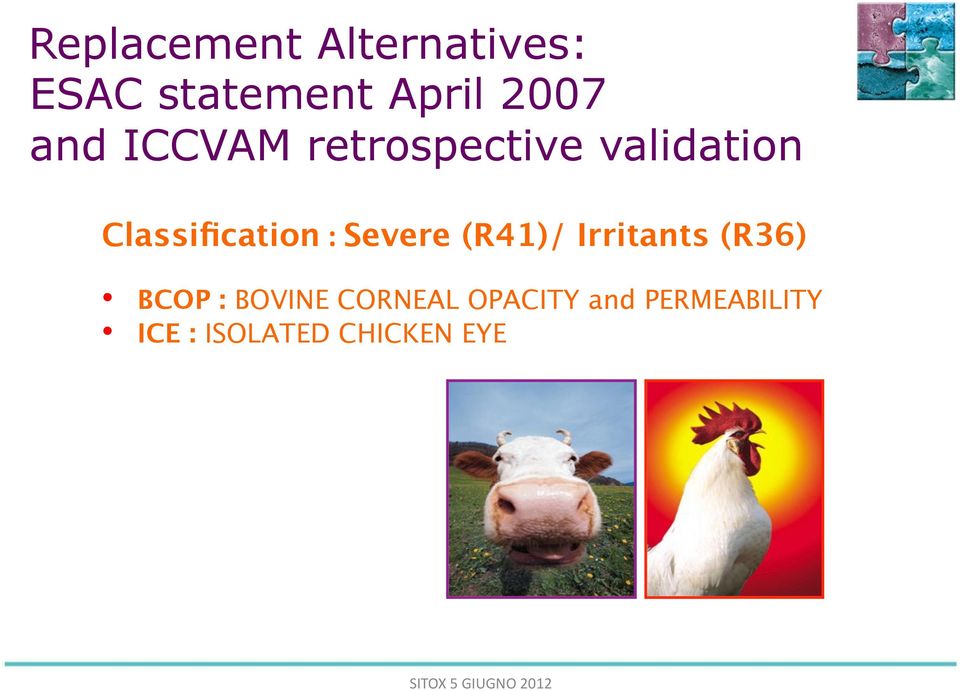 Severe (R41)/ Irritants (R36)!