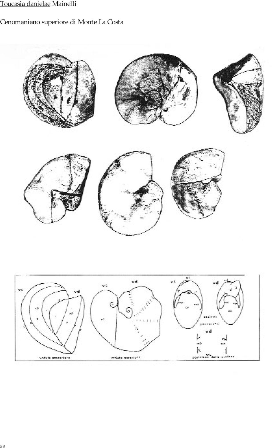 Cenomaniano