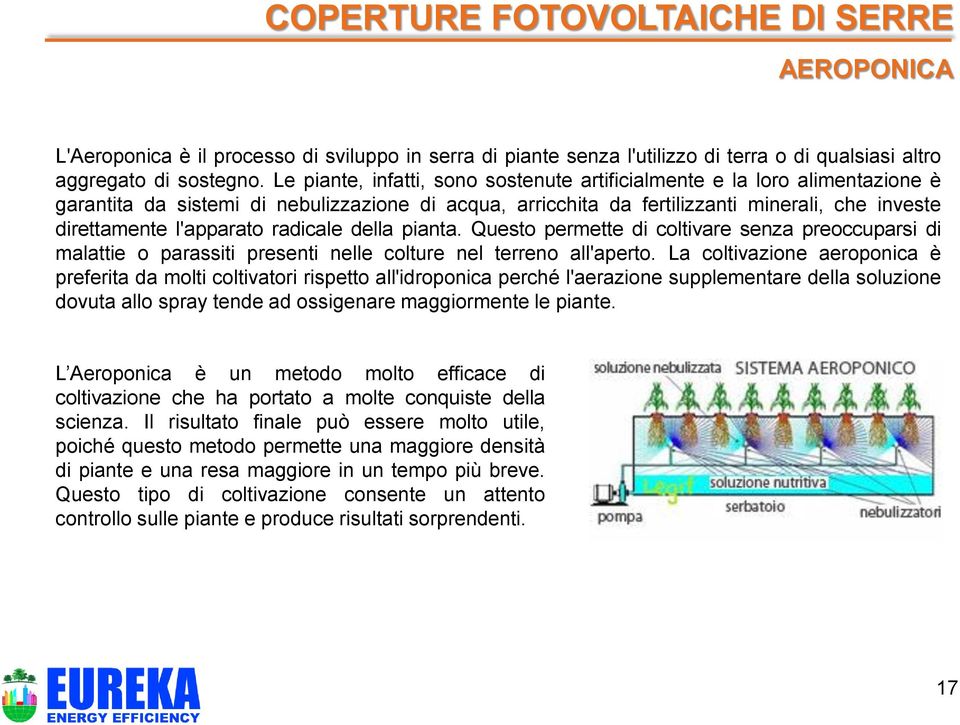 radicale della pianta. Questo permette di coltivare senza preoccuparsi di malattie o parassiti presenti nelle colture nel terreno all'aperto.