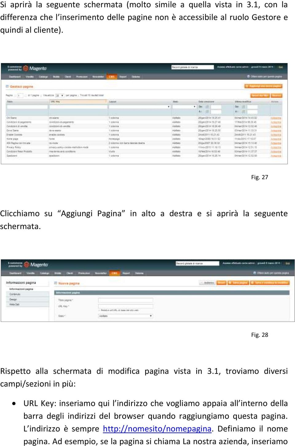 27 Clicchiamo su Aggiungi Pagina in alto a destra e si aprirà la seguente schermata. Fig. 28 Rispetto alla schermata di modifica pagina vista in 3.