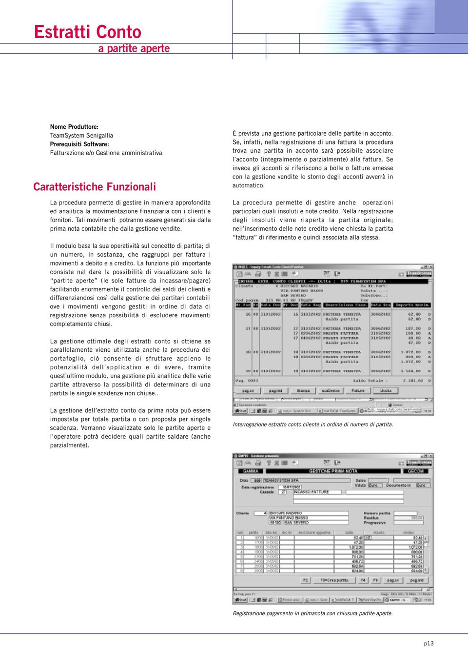 Il modulo basa la sua operatività sul concetto di partita; di un numero, in sostanza, che raggruppi per fattura i movimenti a debito e a credito.