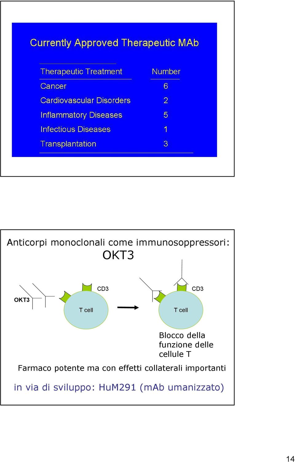 delle cellule T Farmaco potente ma con effetti