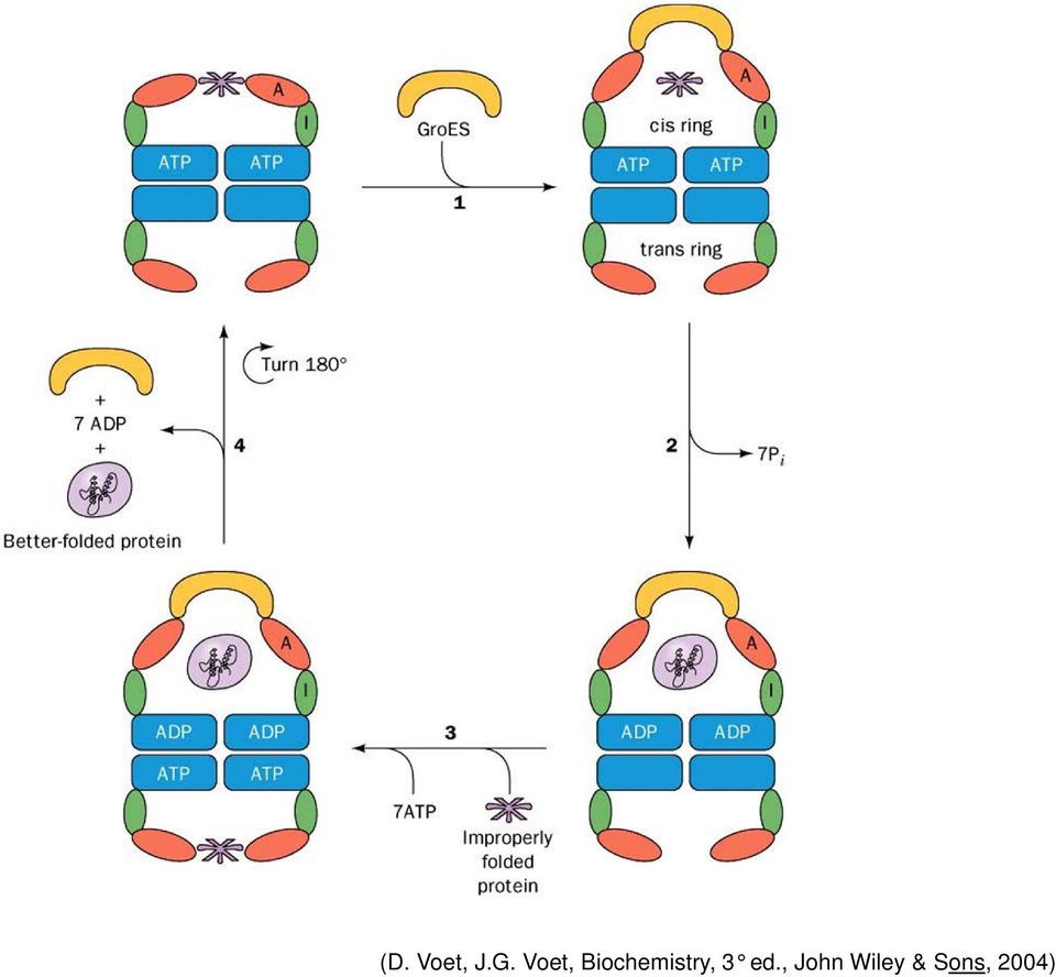 Biochemistry, 3