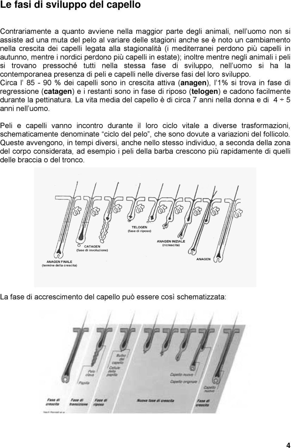 trovano pressoché tutti nella stessa fase di sviluppo, nell uomo si ha la contemporanea presenza di peli e capelli nelle diverse fasi del loro sviluppo.