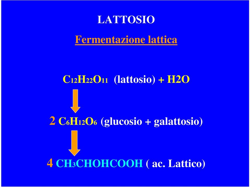 + H2O 2 C6H12O6 (glucosio +