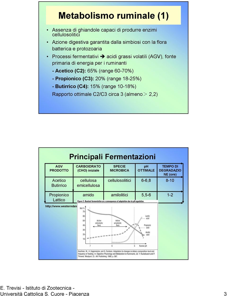 ottimale C2/C3 circa 3 (almeno> 2,2) Principali Fermentazioni AGV PRODOTTO Acetico Butirrico CARBOIDRATO (CHO) iniziale cellulosa emicellulosa SPECIE MICROBICA ph OTTIMALE TEMPO DI DEGRADAZIO