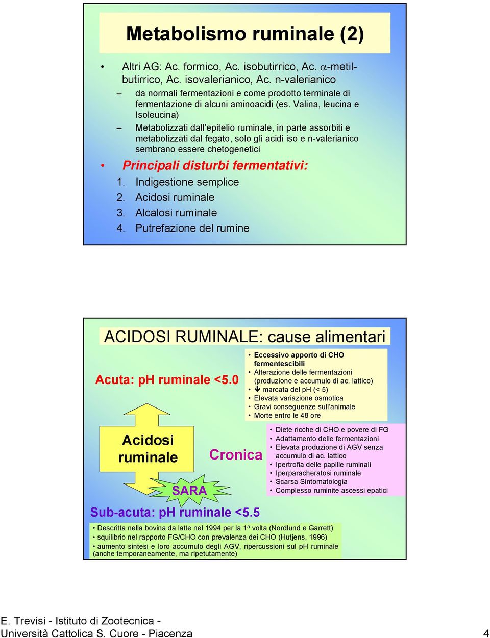 Valina, leucina e Isoleucina) Metabolizzati dall epitelio ruminale, in parte assorbiti e metabolizzati dal fegato, solo gli acidi iso e n-valerianico sembrano essere chetogenetici Principali disturbi