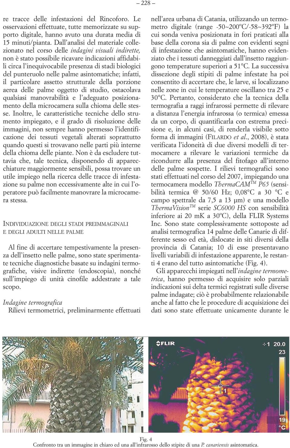 punteruolo nelle palme asintomatiche; infatti, il particolare assetto strutturale della porzione aerea delle palme oggetto di studio, ostacolava qualsiasi manovrabilità e l adeguato posizionamento