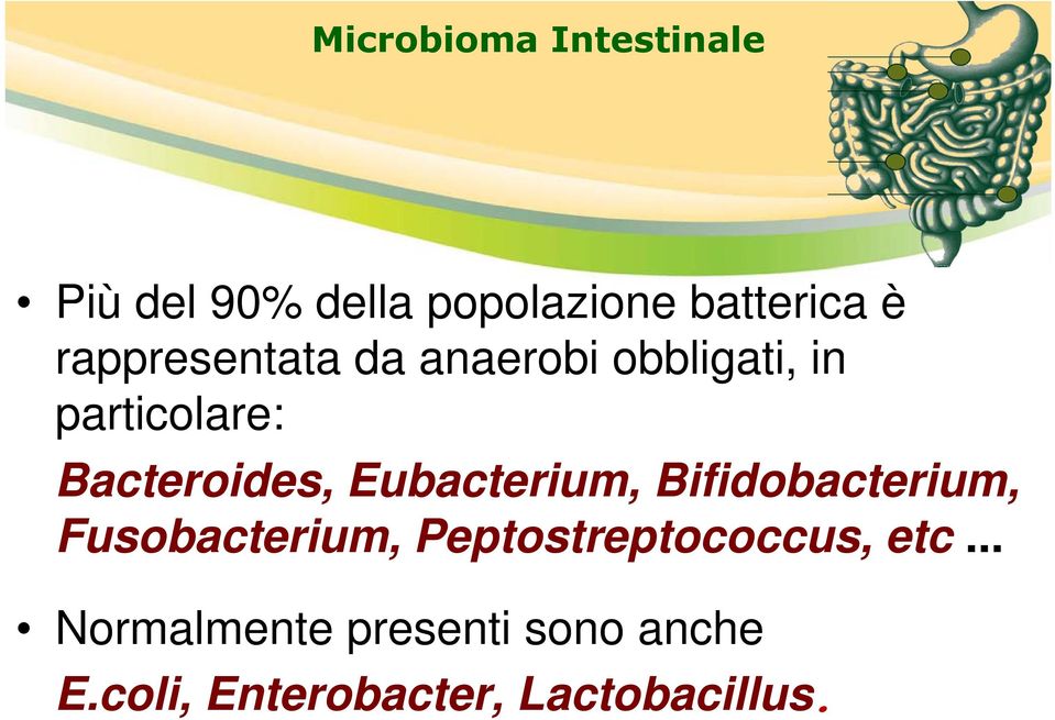 Eubacterium, Bifidobacterium, Fusobacterium, Peptostreptococcus,