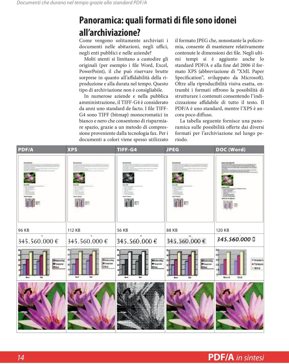 Molti utenti si limitano a custodire gli originali (per esempio i file Word, Excel, PowerPoint), il che può riservare brutte sorprese in quanto all affidabilità della riproduzione e alla durata nel