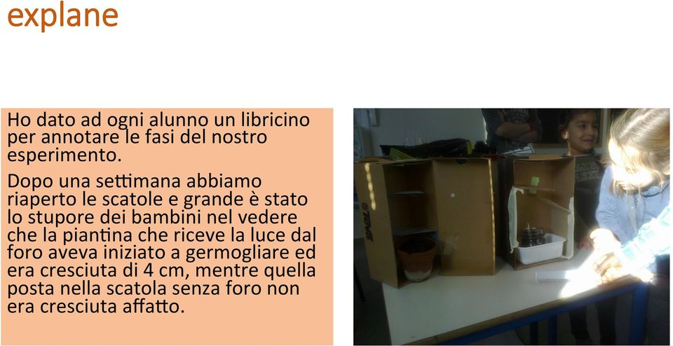 vedere che la pian;na che riceve la luce dal foro aveva iniziato a germogliare ed era