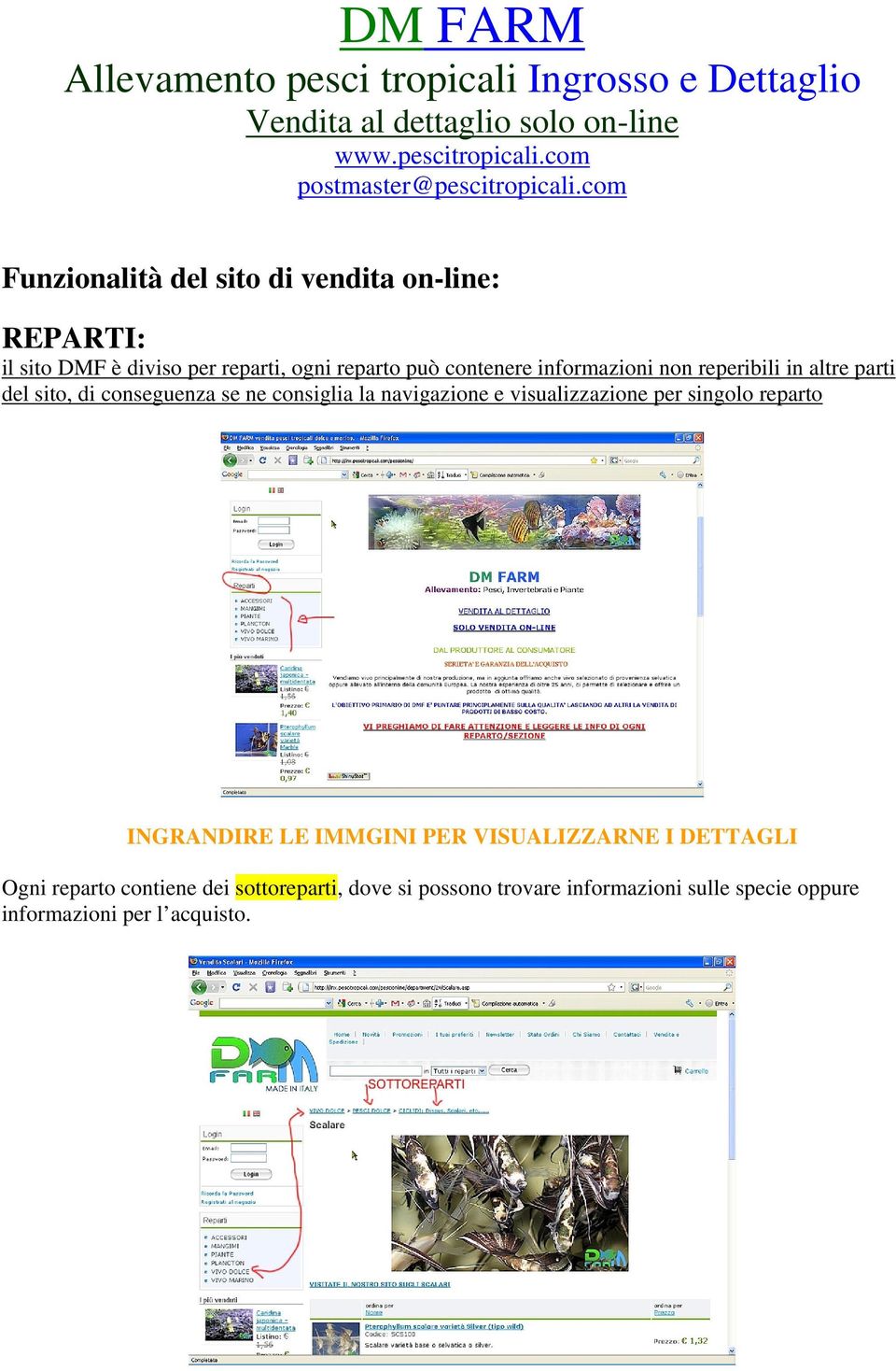 reperibili in altre parti del sito, di conseguenza se ne consiglia la navigazione e visualizzazione per singolo reparto INGRANDIRE LE IMMGINI