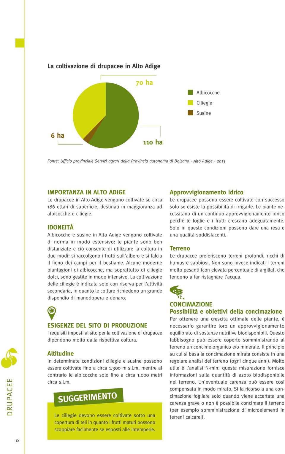 IDONEITÀ Albicocche e susine in Alto Adige vengono coltivate di norma in modo estensivo: le piante sono ben distanziate e ciò consente di utilizzare la coltura in due modi: si raccolgono i frutti