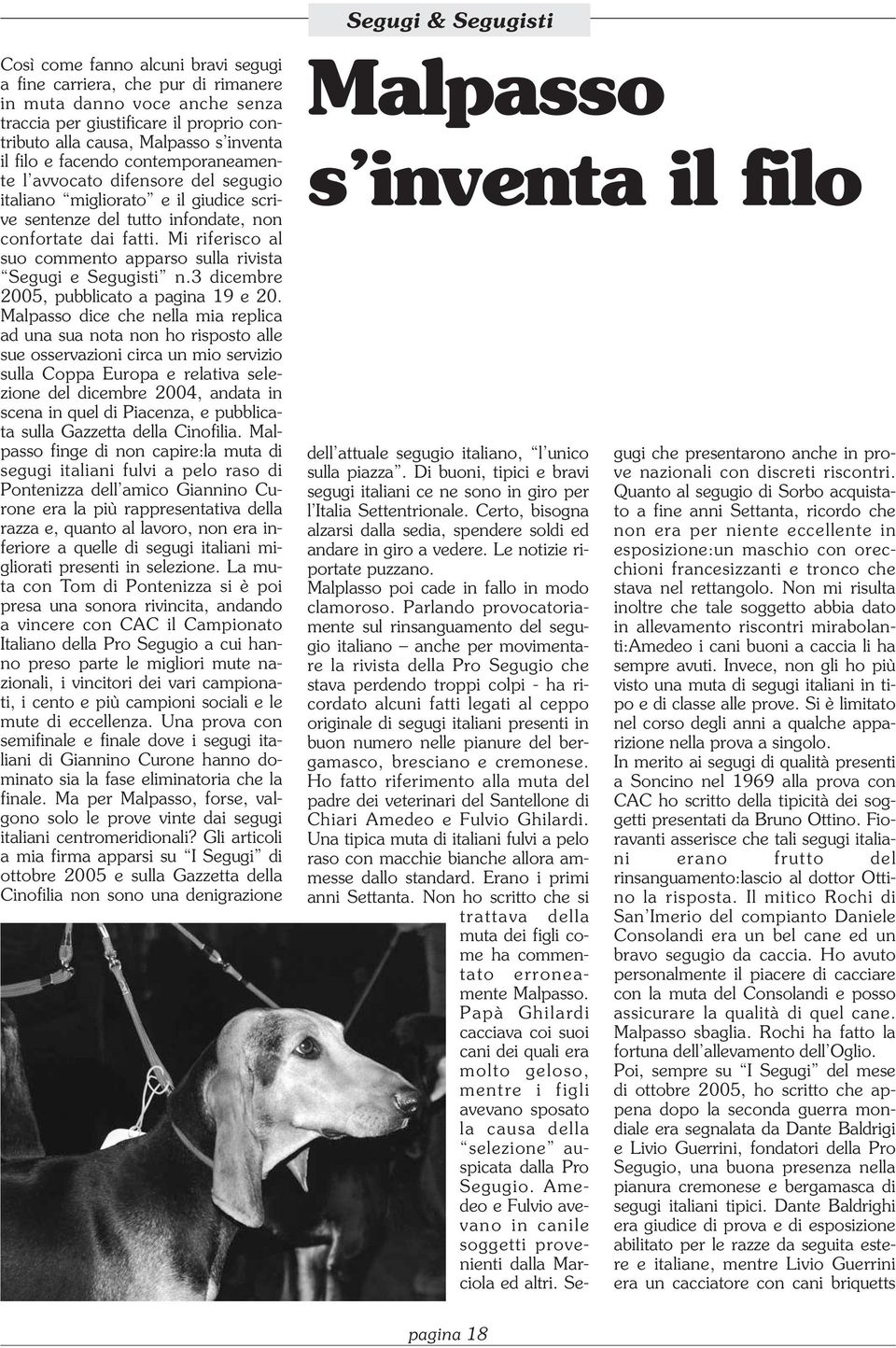 Mi riferisco al suo commento apparso sulla rivista Segugi e Segugisti n.3 dicembre 2005, pubblicato a pagina 19 e 20.