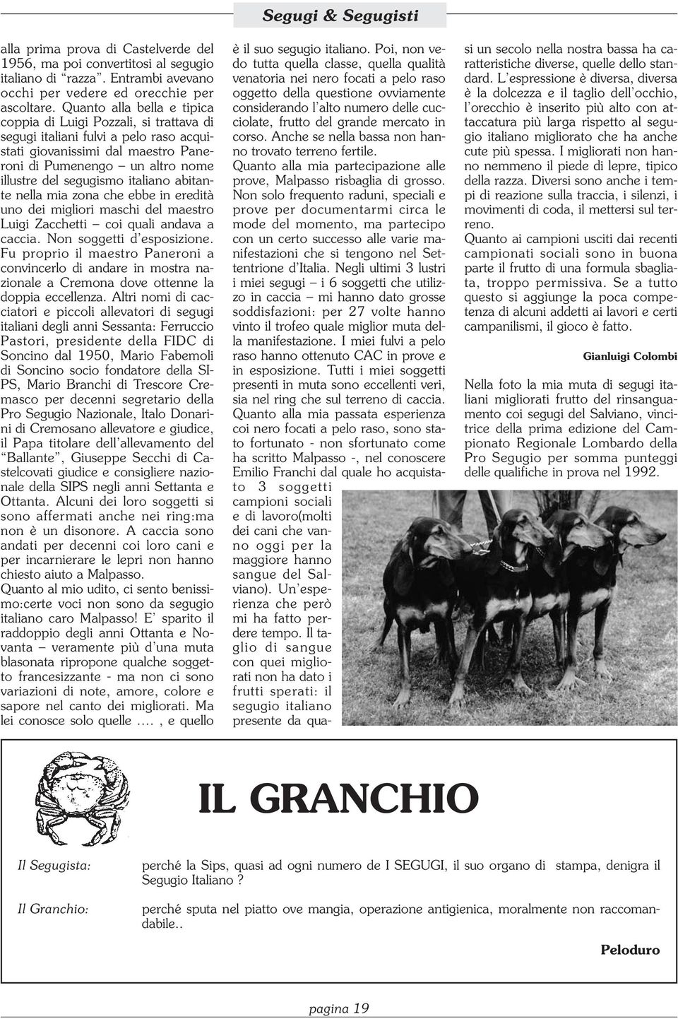 italiano abitante nella mia zona che ebbe in eredità uno dei migliori maschi del maestro Luigi Zacchetti coi quali andava a caccia. Non soggetti d esposizione.