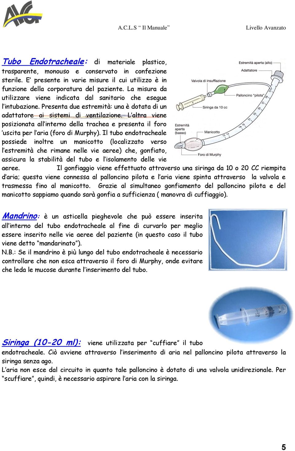 L altra viene posizionata all interno della trachea e presenta il foro uscita per l aria (foro di Murphy).