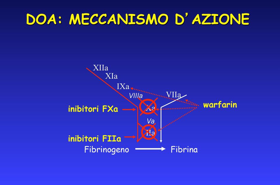 VIIIa Xa VIIa warfarin Va