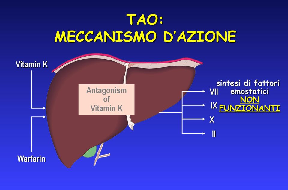 K sintesi di fattori VII