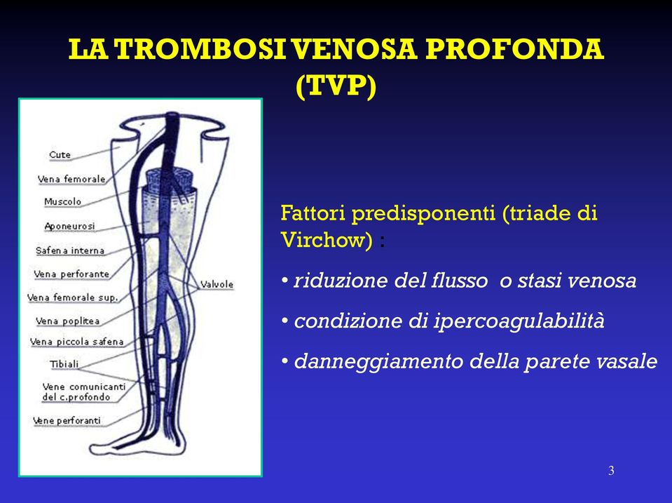 del flusso o stasi venosa condizione di