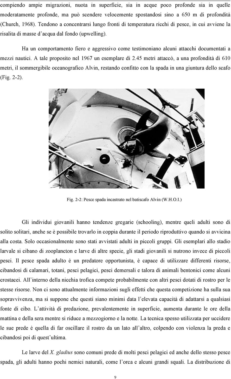 Ha un comportamento fiero e aggressivo come testimoniano alcuni attacchi documentati a mezzi nautici. A tale proposito nel 1967 un esemplare di 2.