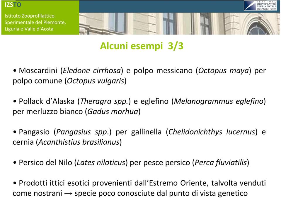 ) per gallinella (Chelidonichthys lucernus) e cernia (Acanthistius brasilianus) Persico del Nilo (Lates niloticus) per pesce persico