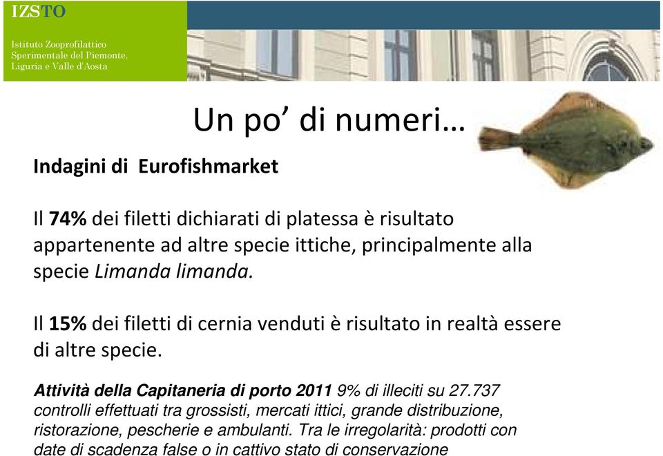 Il 15% dei filetti di cernia venduti è risultato in realtà essere di altre specie.