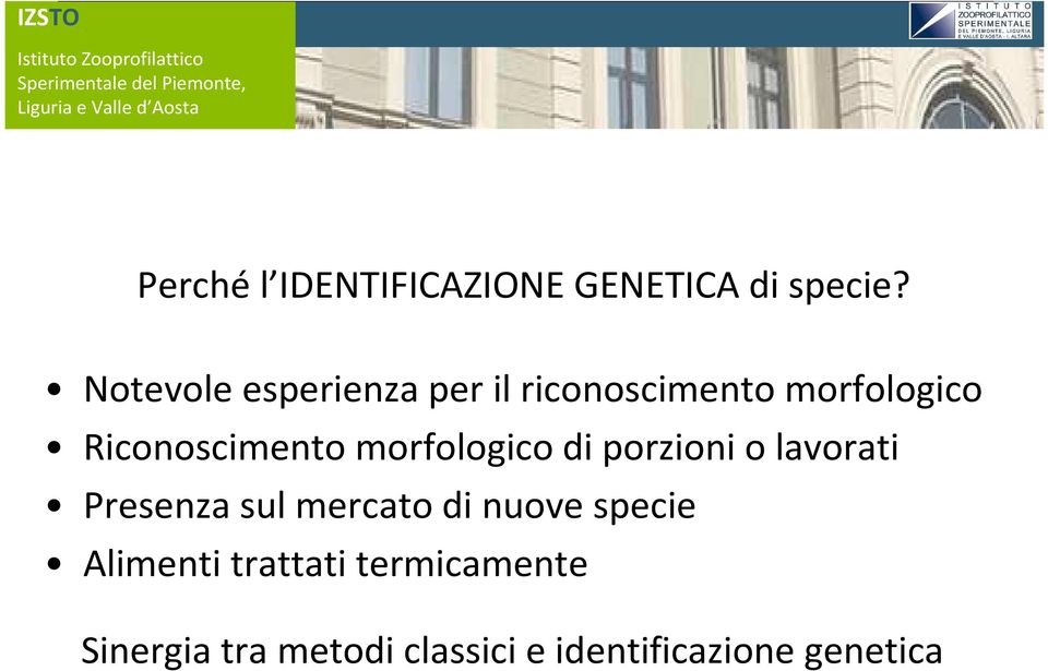 Riconoscimento morfologico di porzioni o lavorati Presenza sul