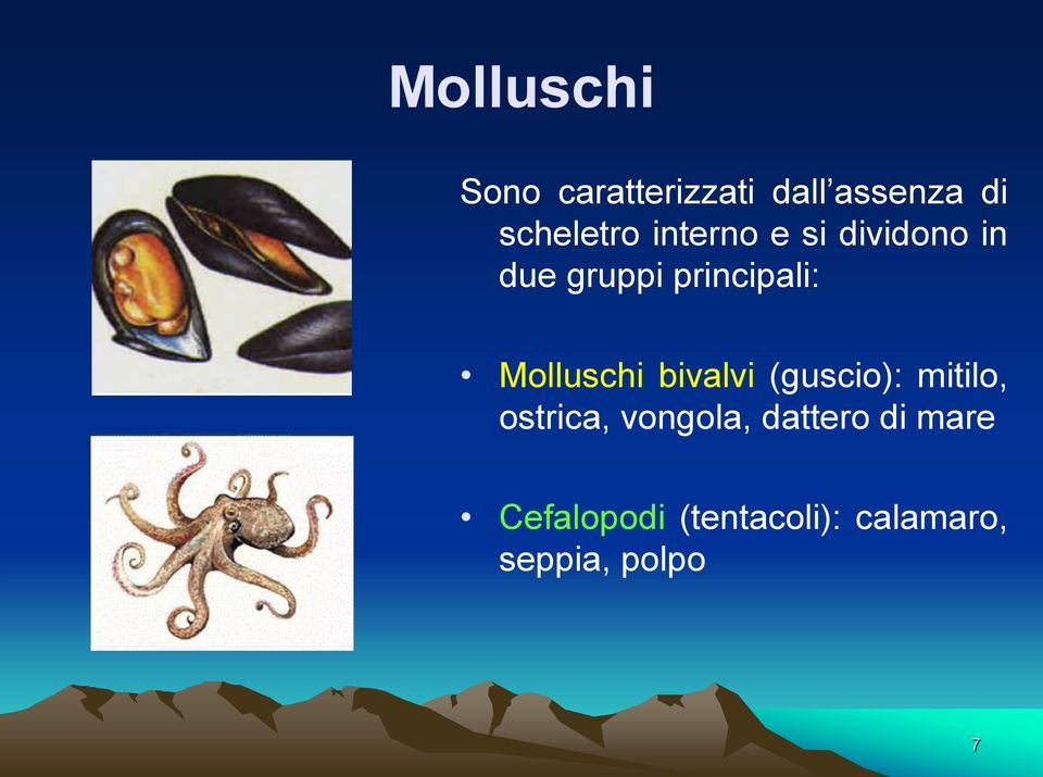 Molluschi bivalvi (guscio): mitilo, ostrica, vongola,