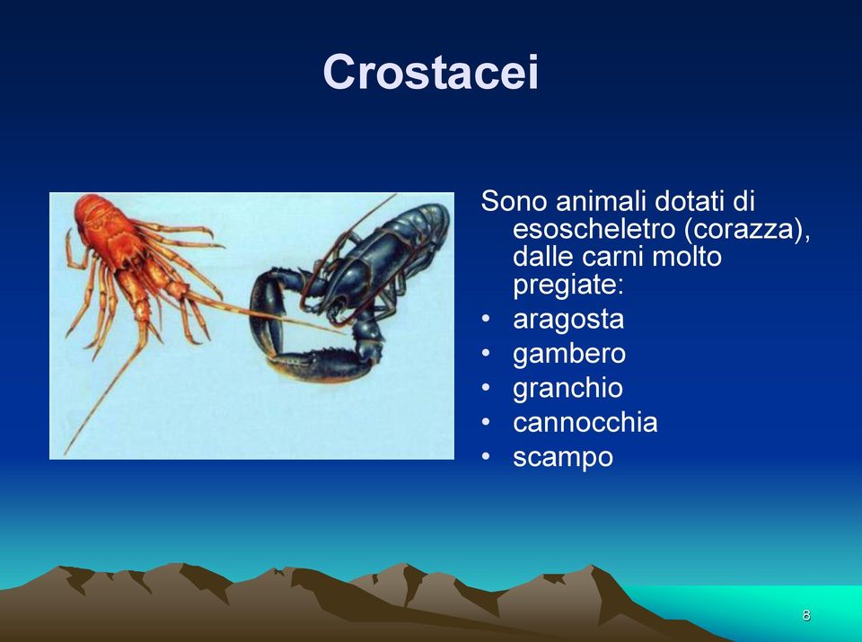 carni molto pregiate: aragosta