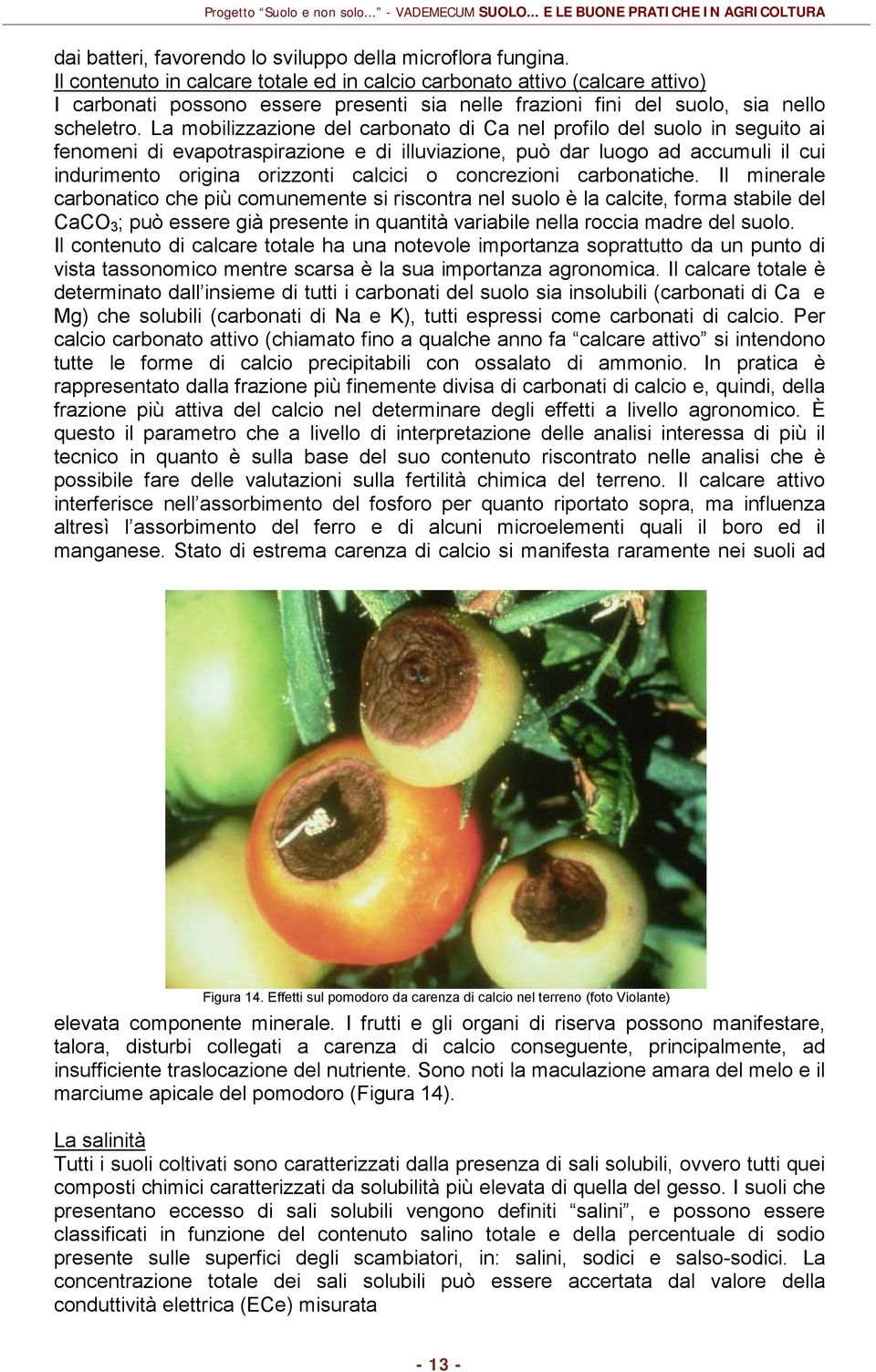 La mobilizzazione del carbonato di Ca nel profilo del suolo in seguito ai fenomeni di evapotraspirazione e di illuviazione, può dar luogo ad accumuli il cui indurimento origina orizzonti calcici o