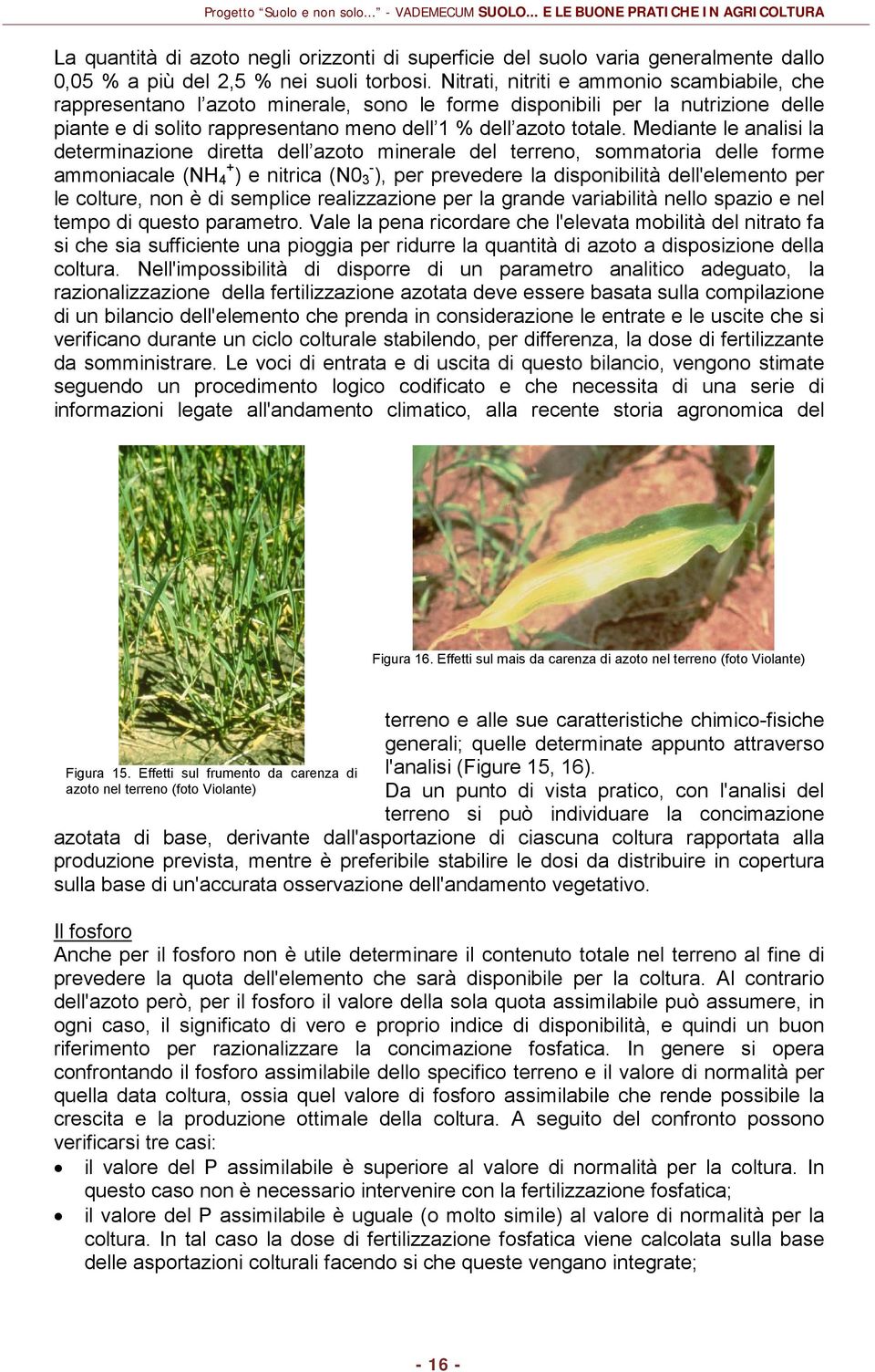 Mediante le analisi la determinazione diretta dell azoto minerale del terreno, sommatoria delle forme ammoniacale (NH 4 + ) e nitrica (N0 3 - ), per prevedere la disponibilità dell'elemento per le