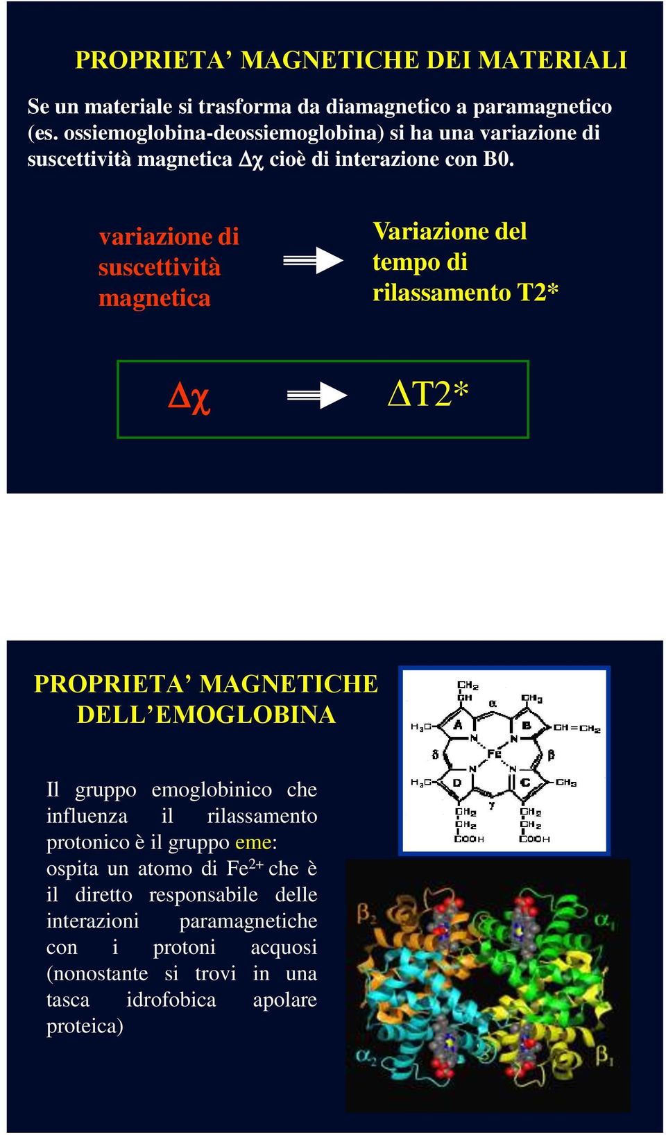 variazione di suscettività magnetica Variazione del tempo di rilassamento T2* T2* PROPRIETA MAGNETICHE DELL EMOGLOBINA Il gruppo emoglobinico che