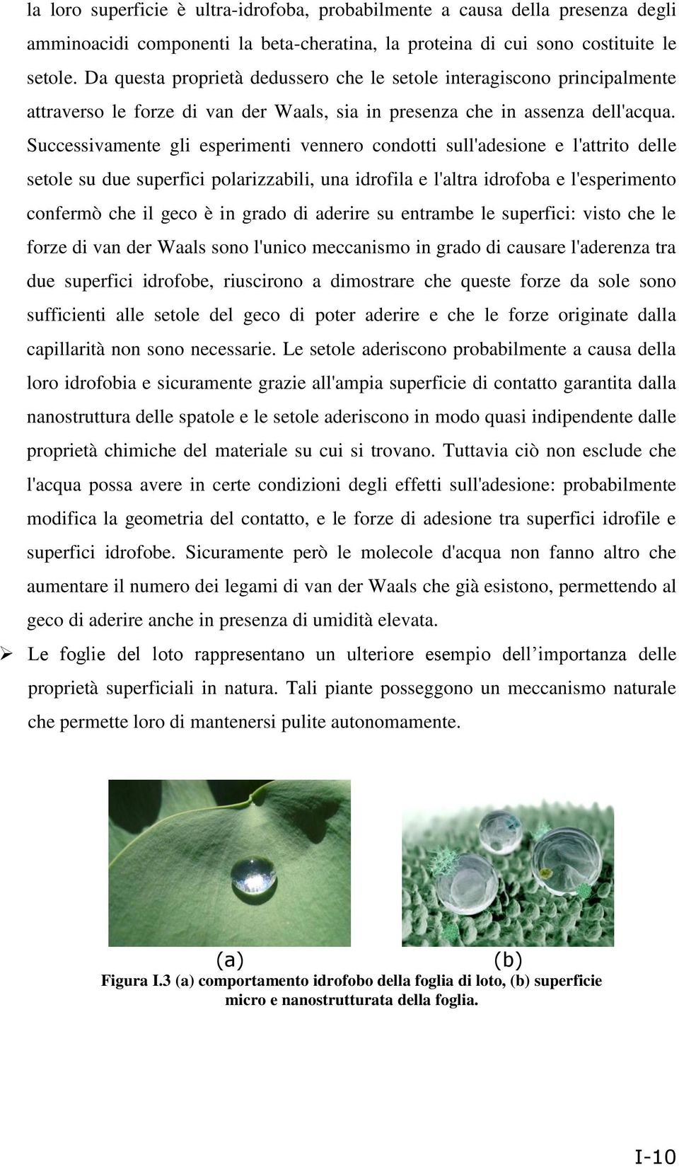 Successivamente gli esperimenti vennero condotti sull'adesione e l'attrito delle setole su due superfici polarizzabili, una idrofila e l'altra idrofoba e l'esperimento confermò che il geco è in grado