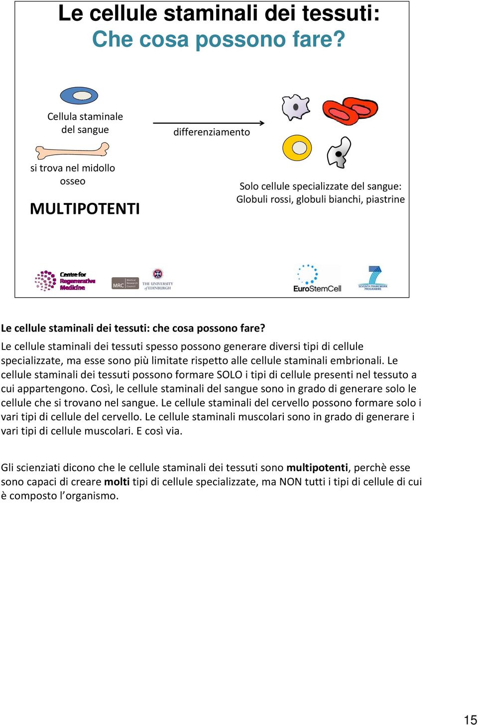 tessuti: che cosa possono fare? Le cellule staminali dei tessuti spesso possono generare diversi tipi di cellule specializzate, ma esse sono più limitate rispetto alle cellule staminali embrionali.