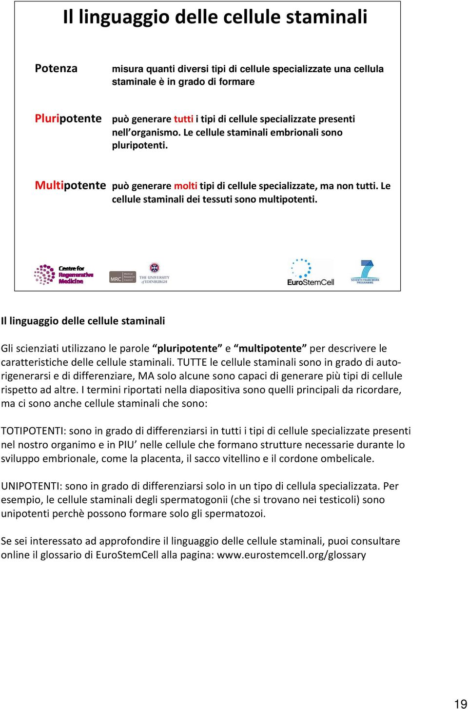 Le cellule staminali dei tessuti sono multipotenti.