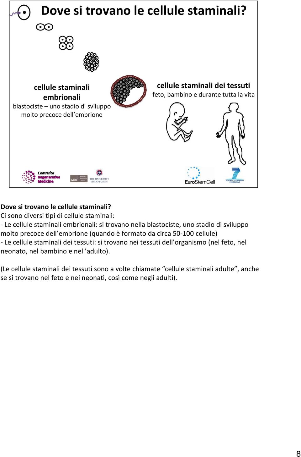 tipi di cellule staminali: Le cellule staminali embrionali: si trovano nella blastociste, uno stadio di sviluppo molto precoce dell embrione (quando èformato da circa 50 100
