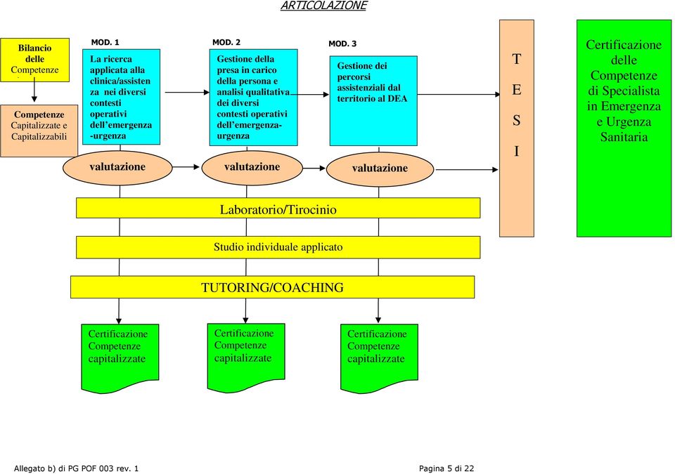 diversi cntesti perativi dell emergenzaurgenza valutazine Gestine dei percrsi assistenziali dal territri al DEA valutazine T E S I Certificazine delle Cmpetenze di Specialista in