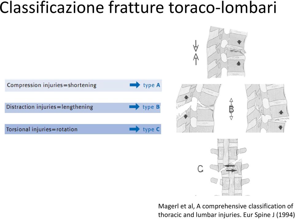 comprehensiveclassificationof