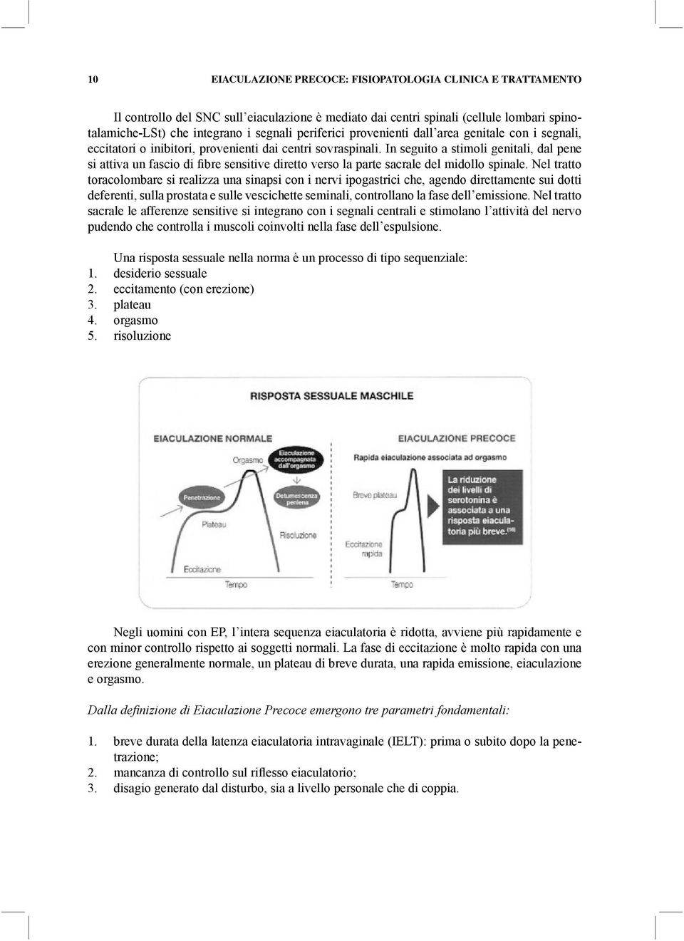 In seguito a stimoli genitali, dal pene si attiva un fascio di fibre sensitive diretto verso la parte sacrale del midollo spinale.