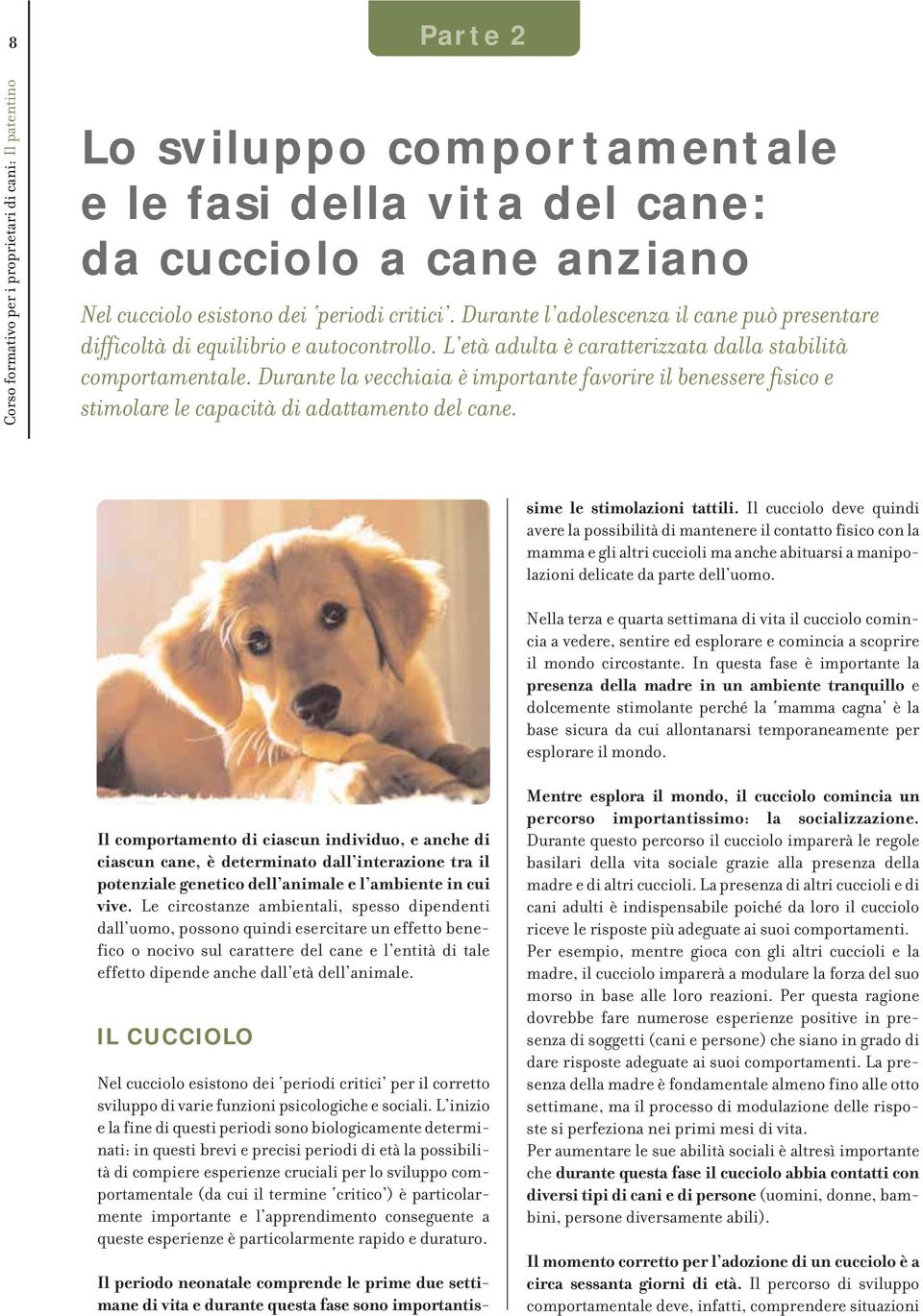 Durante la vecchiaia è importante favorire il benessere fisico e stimolare le capacità di adattamento del cane.