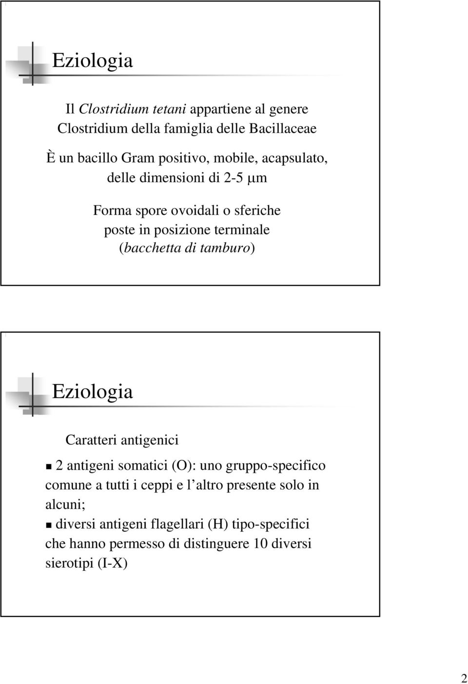 tamburo) Eziologia Caratteri antigenici 2 antigeni somatici (O): uno gruppo-specifico comune a tutti i ceppi e l altro